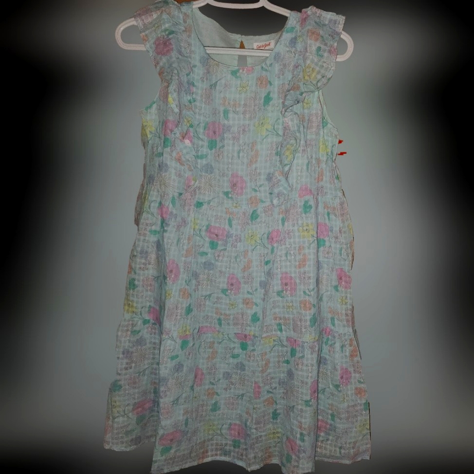 Cat & Jack Blue Floral Dress